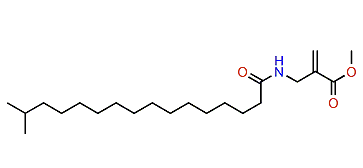 Hurghamide B